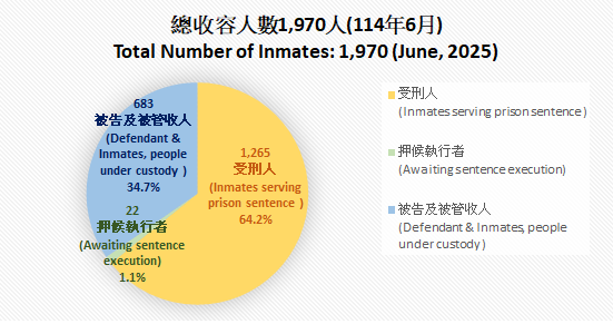 11406總收容
