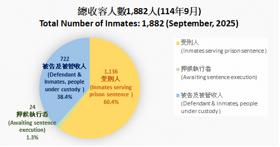 11409總收容